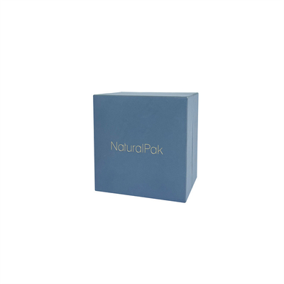 Le support bleu-clair de montre a gravé Logo Watch And Bracelet Box en refief